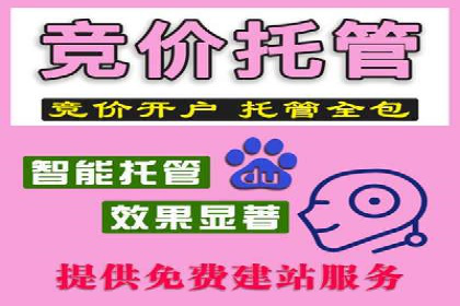短视频信息流广告投放策略与案例分析